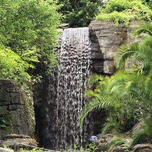 Meet your Posher, Tomeka